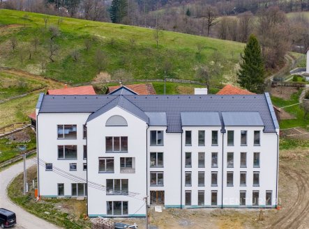 Prodej bytu, 1+kk, 20 m²