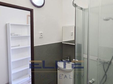 Pronájem bytu, 1+kk, 20 m²