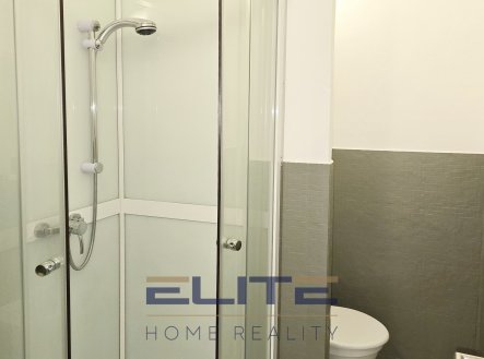 Pronájem bytu, 1+kk, 20 m²