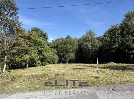 Pronájem pozemku pro bydlení, 1 561 m²