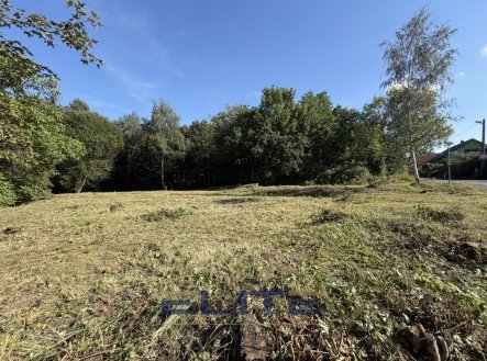 Pronájem pozemku pro bydlení, 1 561 m²