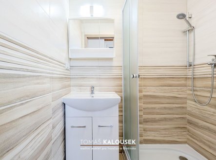 Pronájem bytu, 1+1, 35 m²