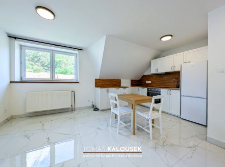 Pronájem bytu, 3+kk, 50 m²