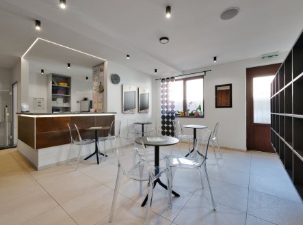 Prodej obchodní prostory, 391 m²