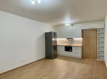 Pronájem bytu, 1+kk, 27 m²