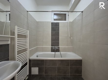 Pronájem bytu, 1+1, 47 m²