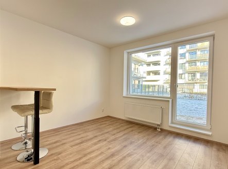 Pronájem bytu, 1+kk, 27 m²