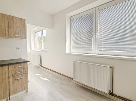 Pronájem bytu, 1+1, 35 m² obrázek