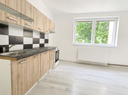 Pronájem bytu, 1+1, 50 m²