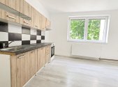 Pronájem bytu, 1+1, 50 m²