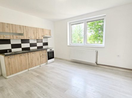 Pronájem bytu, 1+1, 50 m²