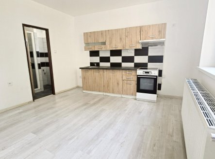 Pronájem bytu, 1+1, 50 m²