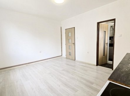 file3 (2) | Pronájem bytu, 1+1, 50 m²