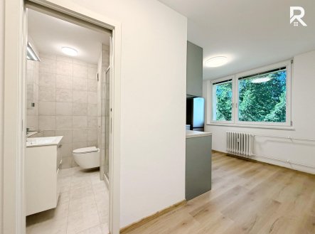Pronájem bytu, 1+1, 35 m²