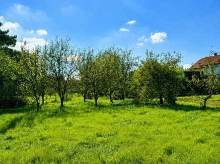 Prodej - pozemek pro bydlení, 763 m²