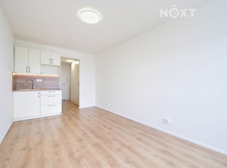 Pronájem bytu, 1+kk, 23 m²