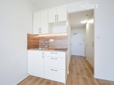 Pronájem bytu, 1+kk, 23 m²