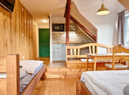 Prodej hotel, 509 m²