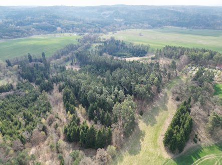 Prodej pozemku, les, 4 287 m²