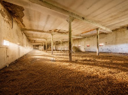 Prodej výrobní prostory, 800 m²