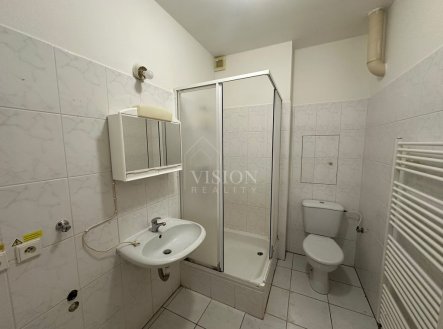 Pronájem bytu, 1+kk, 41 m²