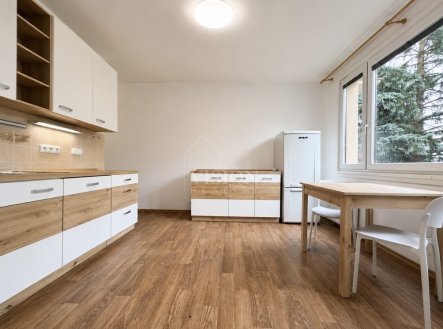 Pronájem bytu, 1+1, 36 m²