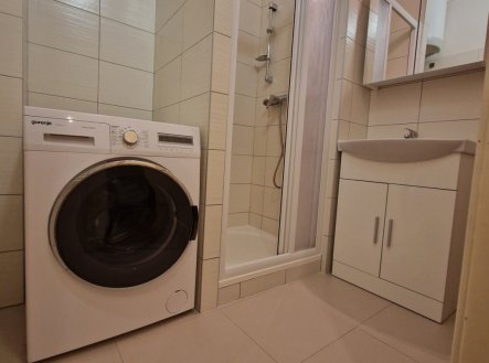 Pronájem bytu, 1+kk, 29 m²