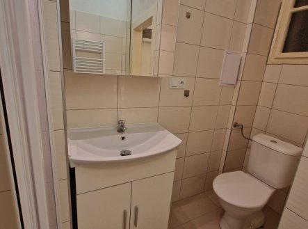 Pronájem bytu, 1+kk, 29 m²