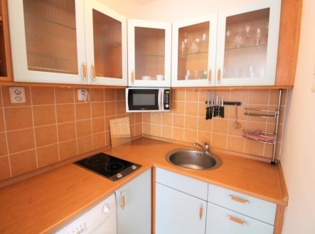 Prodej bytu, 1+kk, 45 m²