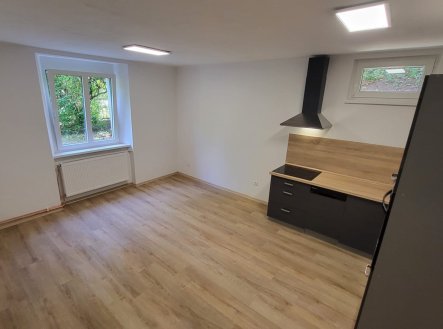 Pronájem bytu, 2+kk, 56 m²
