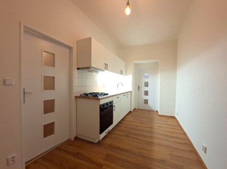 Pronájem bytu, 1+1, 42 m²