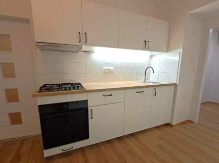 Pronájem bytu, 1+1, 42 m²