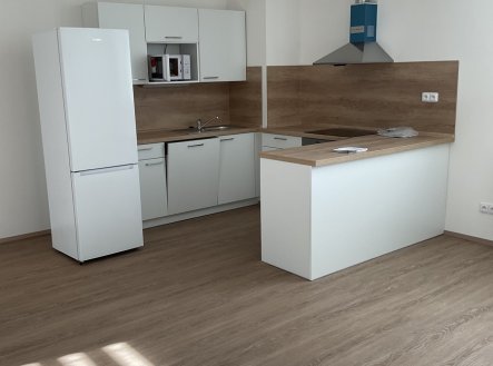 Pronájem bytu, 1+kk, 2 366 m²