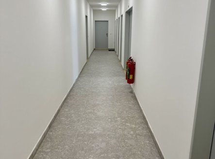 Pronájem bytu, 1+kk, 41 m²