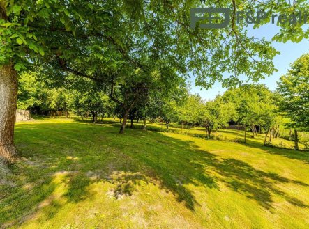 Prodej domu/vily, 300 m²
