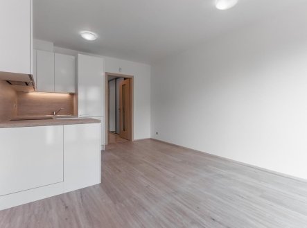 Pronájem bytu, 1+kk, 28 m²
