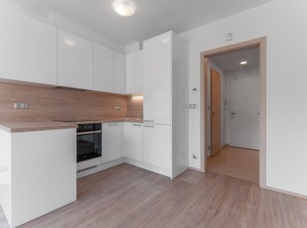 Pronájem bytu, 1+kk, 28 m²
