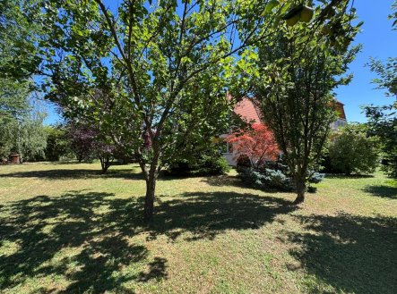 Prodej domu/vily, 300 m²