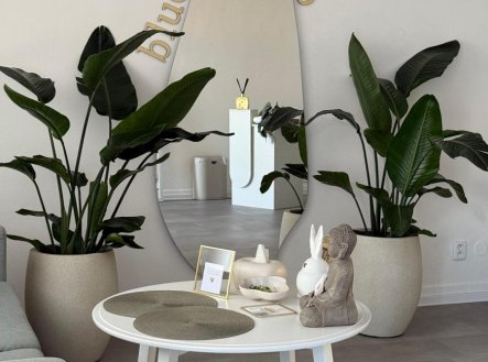 Pronájem obchodní prostory, 57 m²