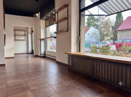 Pronájem obchodní prostory, 45 m²