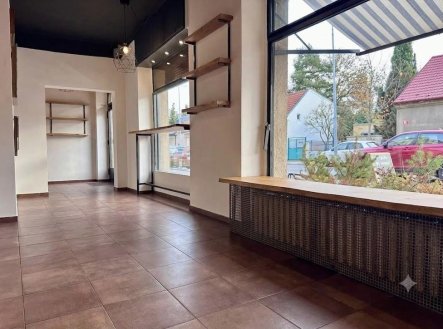 Pronájem obchodní prostory, 45 m²
