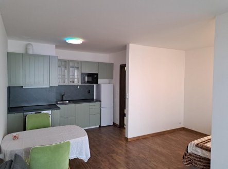 Pronájem bytu, 1+kk, 42 m²