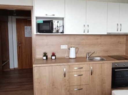 Pronájem bytu, 1+kk, 22 m²