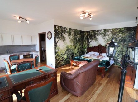 Pronájem bytu, 1+kk, 36 m²