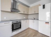 Pronájem bytu, 1+kk, 52 m²