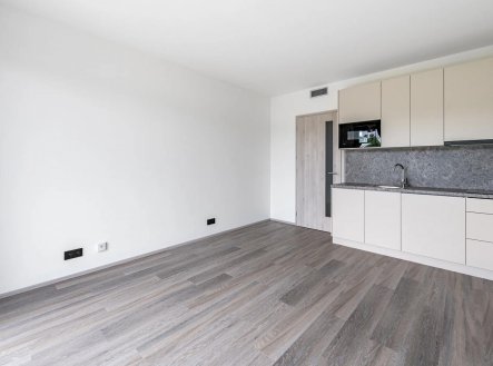 Pronájem bytu, 1+kk, 26 m²
