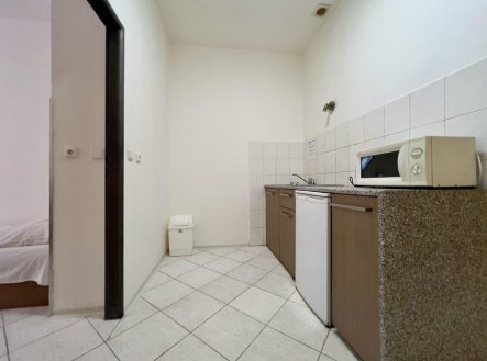 Pronájem bytu, 1+1, 45 m²