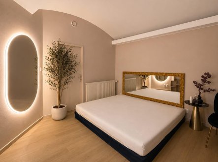 Pronájem obchodní prostory, 256 m²