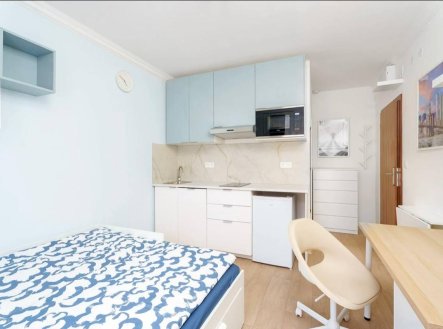 Pronájem bytu, 1+kk, 30 m²