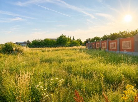 Prodej pozemku pro bydlení, 1 000 m²